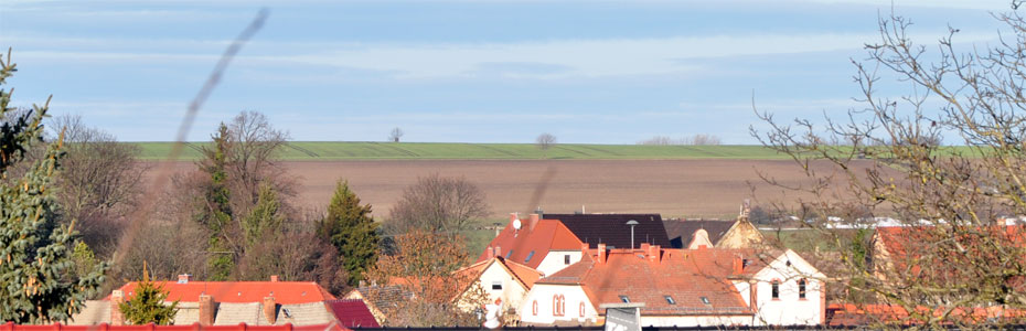 Frühjahresmorgen  in Hedersleben