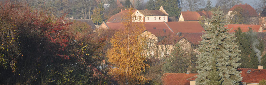 Herbstmorgen  in Hedersleben