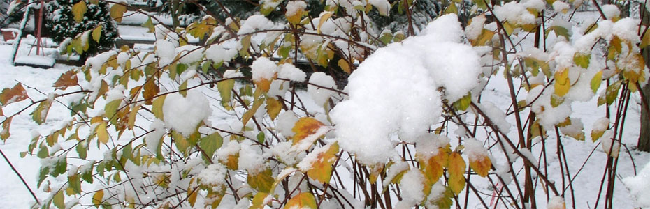 Winternacht  in Hedersleben