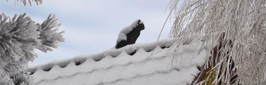 Wintertag  in Hedersleben