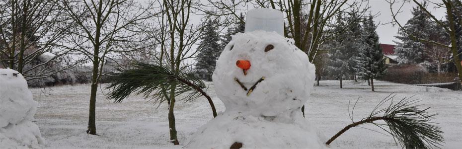 Winternacht  in Hedersleben